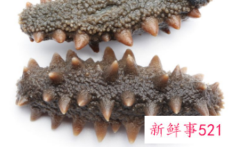 海参的正确吃法