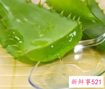 芦荟擦脸可以祛斑吗