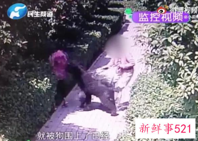 让小莉哭的安阳狗咬人事件解决了吗