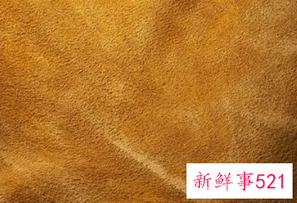 绒面革保养技巧