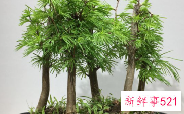 教师节送老师什么礼物较为合适