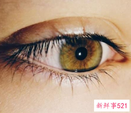 做梦梦见右眼跳