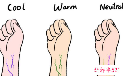 冷皮适合粉调还是黄调粉底液