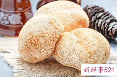 抗癌菌类的排行榜