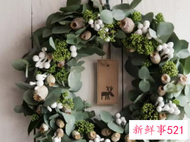 最近流行房间的颜色