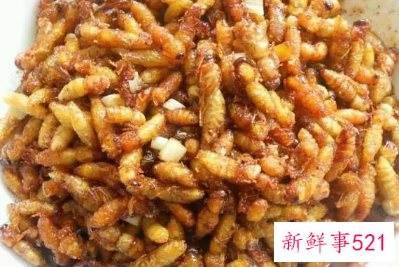 蜂蛹吃了会长胖吗