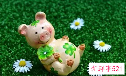 属猪女士佩戴什么饰品