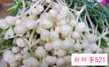 山蒜的作用和功效