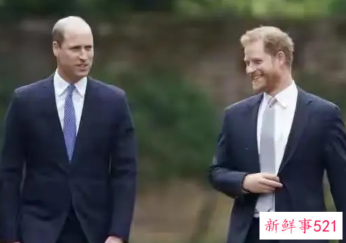 威廉哈里同框为戴妃雕像揭幕