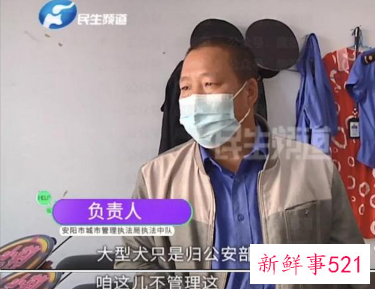 让小莉哭的安阳狗咬人事件解决了吗