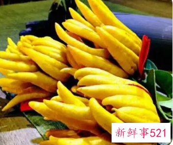 新鲜的佛手柑怎么吃