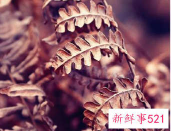 最近流行房间的颜色