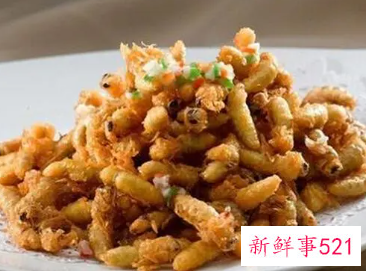 蜂蛹吃了会长胖吗