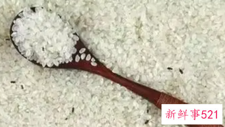 梦见大米生虫子什么意思