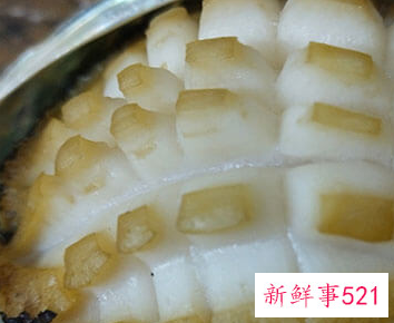 煮鲍鱼水为啥是蓝色的