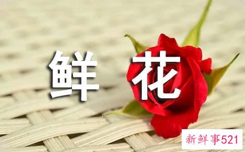 鲜花花语大全