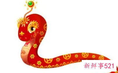 梦中蛇代表什么寓意