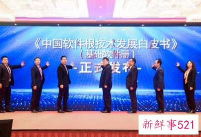 软件业迎来黄金发展期,推动软件产业做大做强