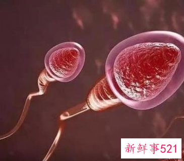 如何提高精子质量