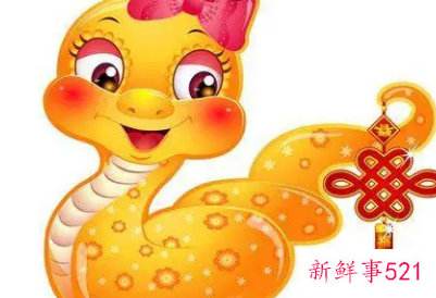 属蛇女的异性魅力