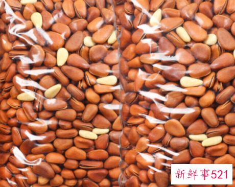 开口松子的功效与作用