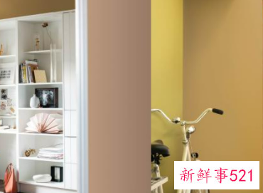 最近流行房间的颜色