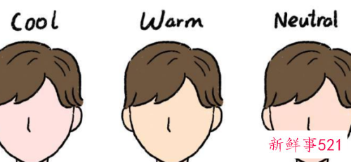 冷皮适合粉调还是黄调粉底液