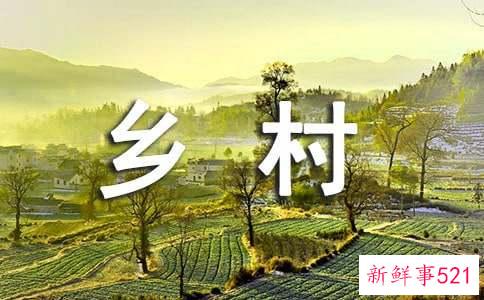 梦见乡村好不好