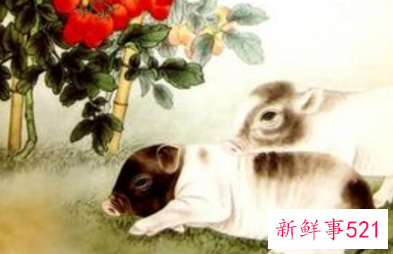 属猪女士佩戴什么饰品