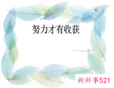 个人收获从哪些方面写