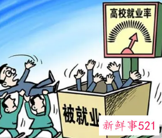 应届毕业生工作