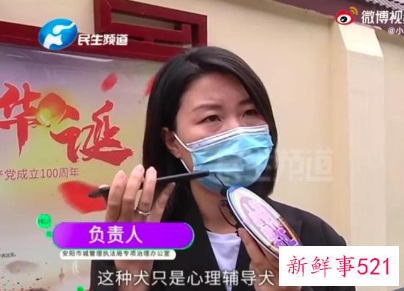 让小莉哭的安阳狗咬人事件解决了吗