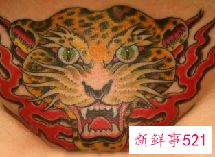 86属虎炉中火命纹身图案
