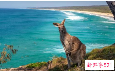 澳大利亚九日精华游路线