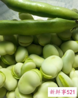 蚕豆去皮好还是不去皮好