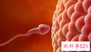 精子射入体内是什么感觉