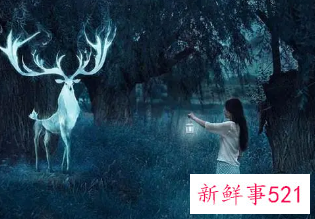 梦见自己处境很卑微