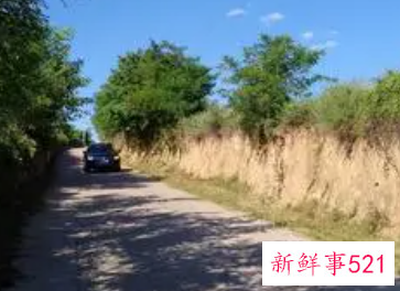 回归故乡的感慨句子