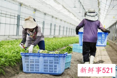 促进农民工就近就业规模扩大