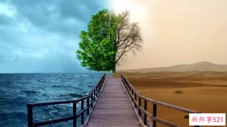 17条经典语录，哲理风趣，受益匪浅！