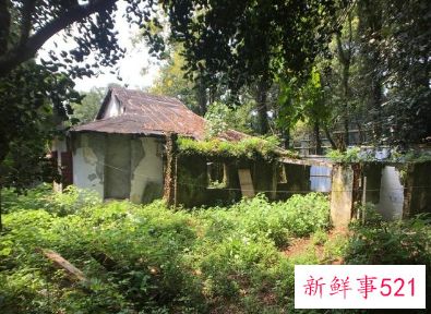 双十一有人花1.2亿西湖边买房详情