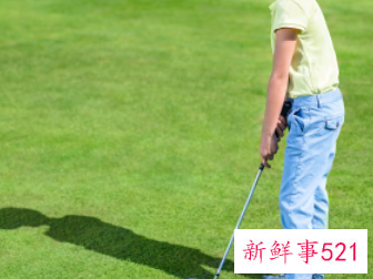 减脂运动健康排行榜