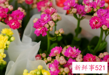 家里阳台种什么花风水好又旺财