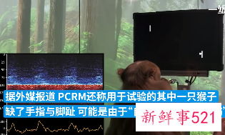 马斯克刚评上院士其脑机公司就被控虐猴