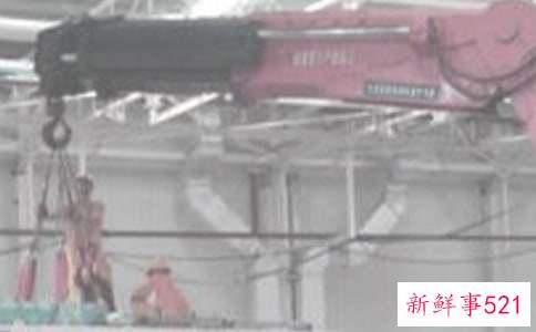 机电一体化毕业生自我鉴定