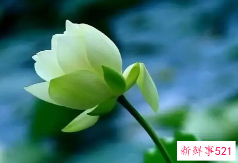 最能积德的四大风水事情