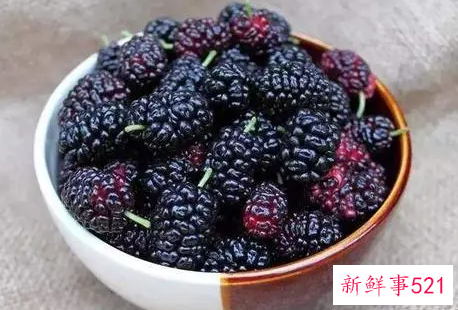 葚子泡水的功效与作用