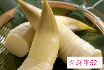 毛竹笋的营养价值