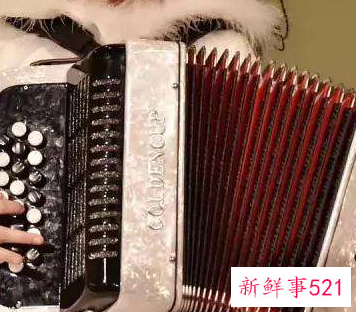 手风琴几岁学比较好