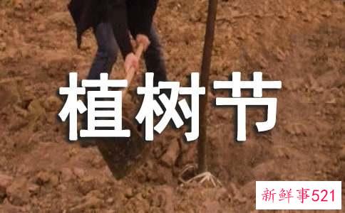 幼儿园植树节活动方案